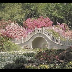 Meet your Posher, Ashra